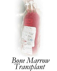 Bone Marrow Transplant
