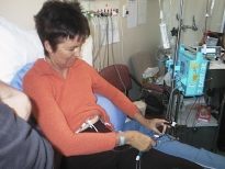 Starting the transplant