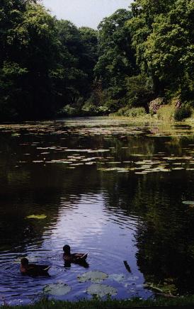 wallington.jpg (28247 bytes)